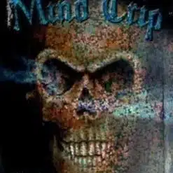 Buy Mind Trip Incense