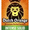 Dutch Orange Lemon Haze's